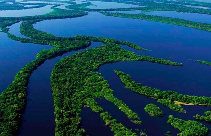 Амазонка уникальная сама по себе