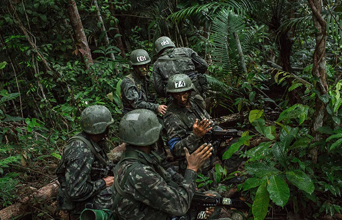 Типичные условия для Бразилии Типичные условия для Бразилии