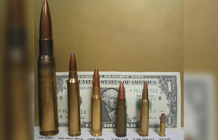 Для сравнения./ Фото: wikimedia.org Для сравнения./ Фото: wikimedia.org