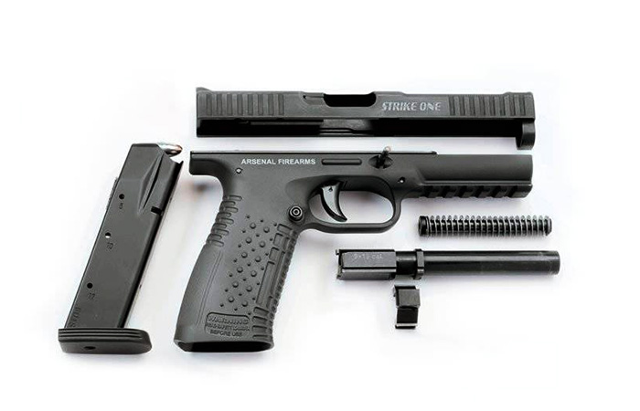 Российский Стриж