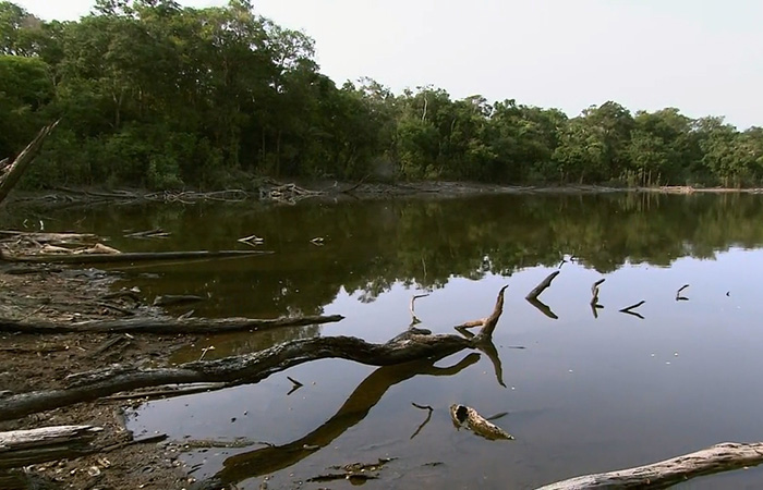 Во время разлива