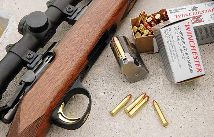 Мелкашки до сих пор актуальны в своей сфере Мелкашки до сих пор актуальны в своей сфере