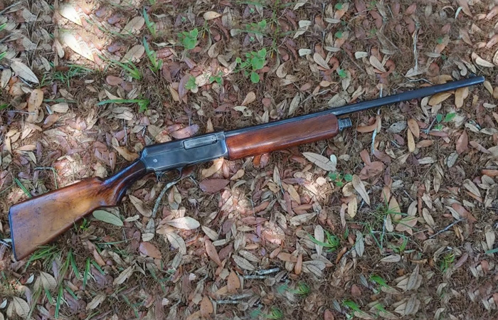 Winchester Model 1911