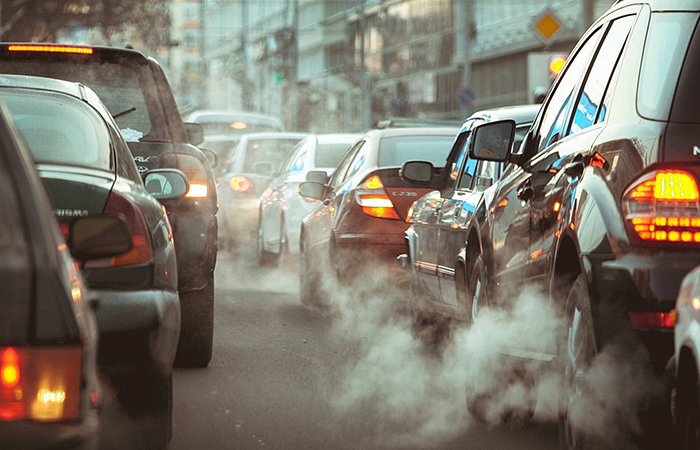 Главная польза - экология Главная польза - экология