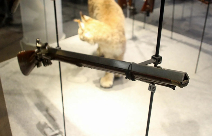 Охотничье ружьё с трехгранной нарезкой