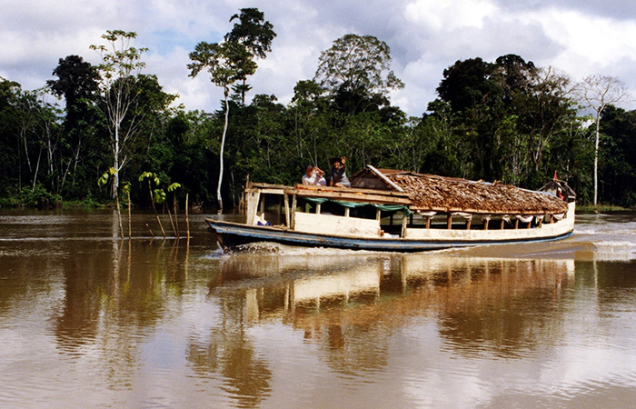 Амазонское такси и автобус