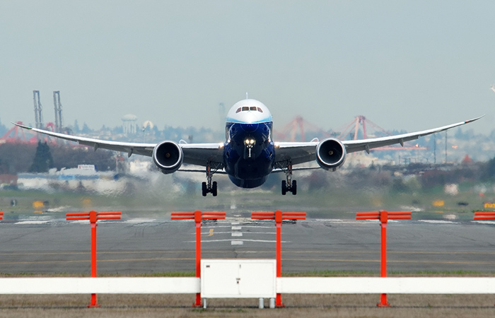 Крылья изгибаются как резиновые.