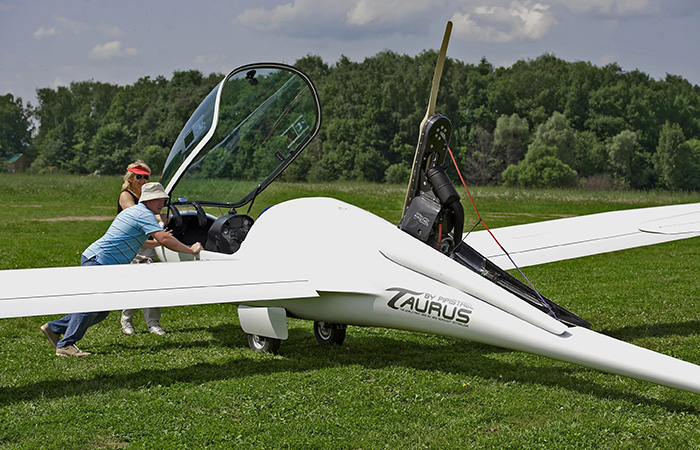 Еще один гибрид./ Фото: wikimedia.org Еще один гибрид./ Фото: wikimedia.org