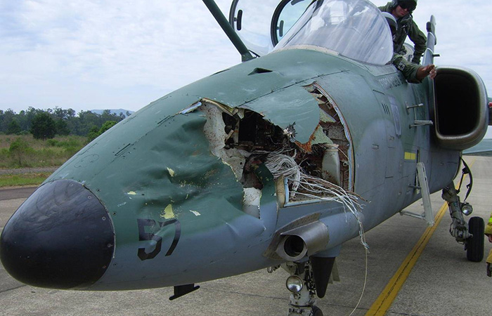 Это - последствия столкновения с птицей Это - последствия столкновения с птицей