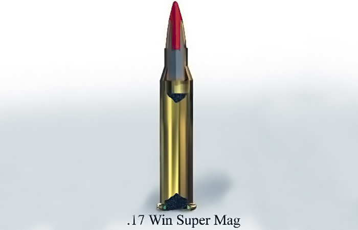 .17 Winchester Super Magnum .17 Winchester Super Magnum