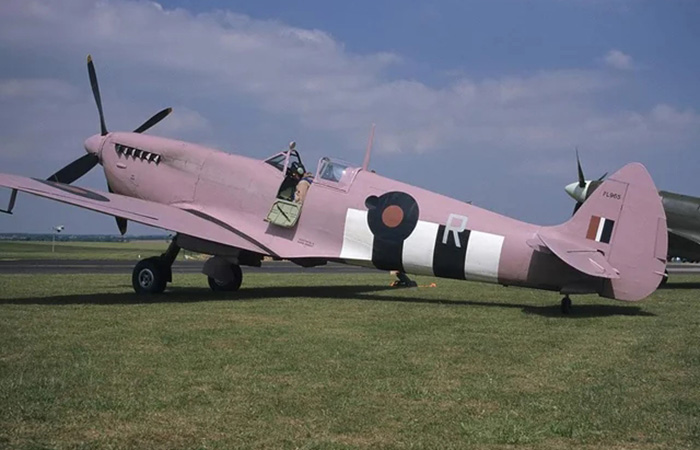 Розовый самолёт./ Фото: reddit.com