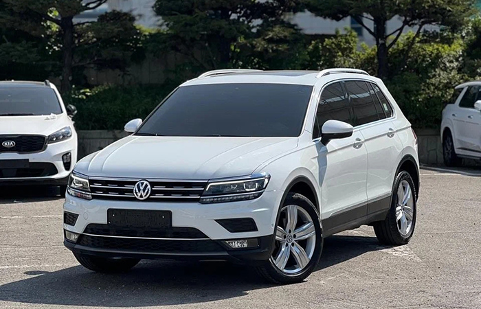 Тигуан с электроникой Тигуан с электроникой