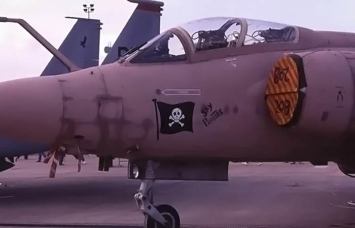 Боевой самолёт в розовом./ Фото: fightercontrol.co.uk