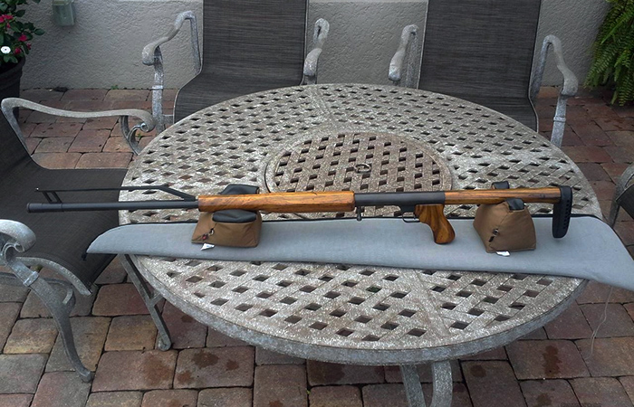 Ljutic Space Gun Ljutic Space Gun