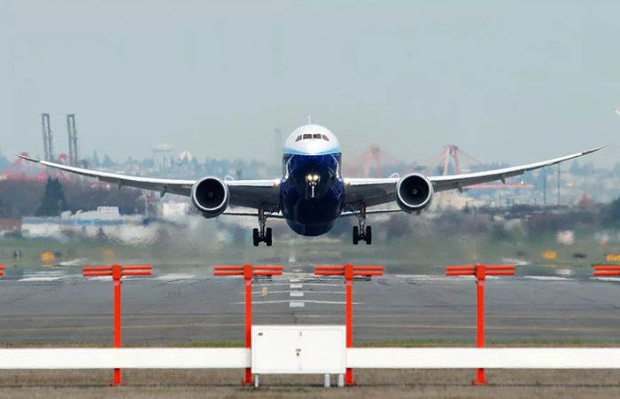 Гибкие крылья выдерживают нагрузку