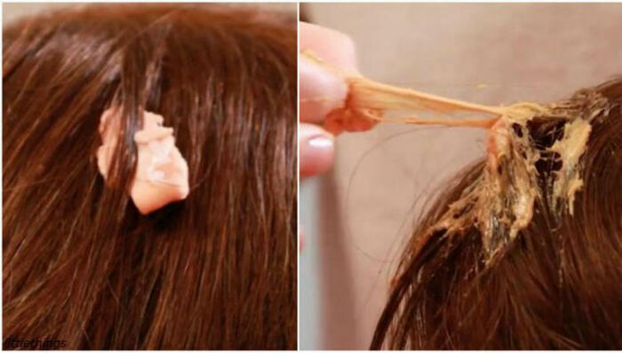 Майонез от жвачки в волосах / Фото: news.myseldon.com
