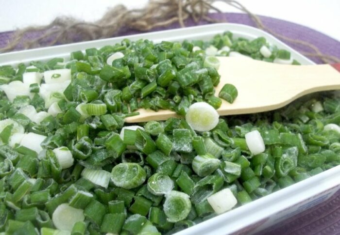 Заморозка зеленого лука / Фото: fermer.blog