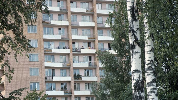 Берёзы в черте города / Фото: ria.ru