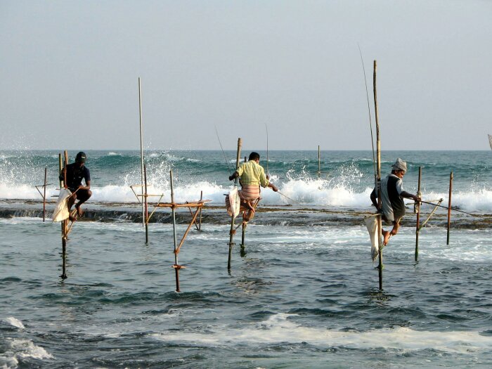  Рыбалка с шестом на Шри Ланке / Фото: ru.wikipedia.org