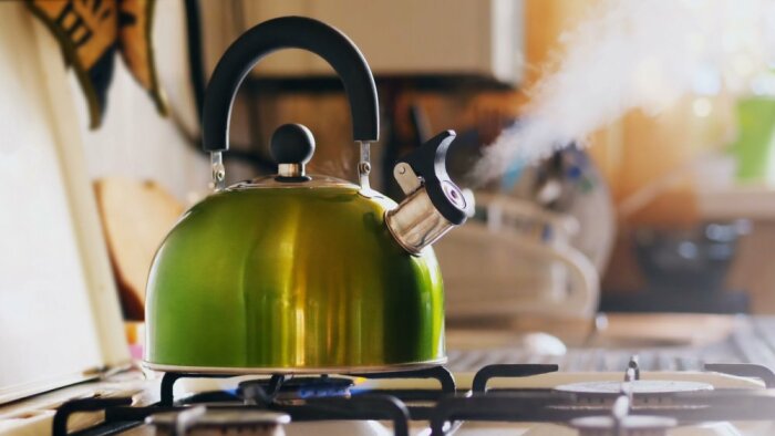  Кипящий чайник со свистком - картинка со звуком / Фото: bogatyr.club