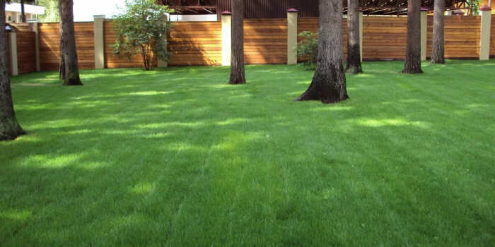 Такой вариант тоже имеется.