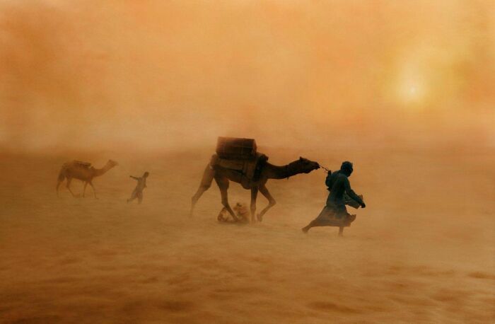 Люди в пустыне во время песчаной бури /Фото:gdekartinki.ru