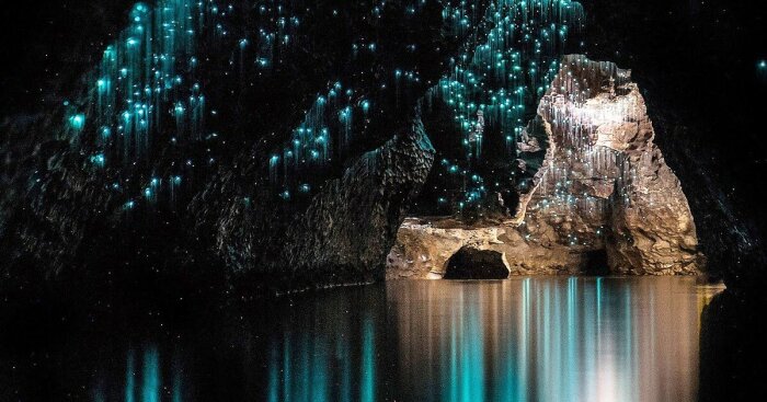 Подземная сказка /Фото:caveworld.co.nz