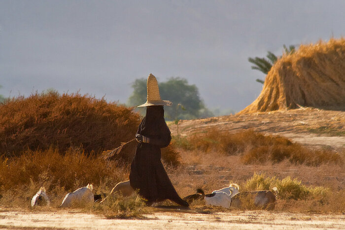 Женщина-пастух из Хадрамута /Фото:warnet.ws