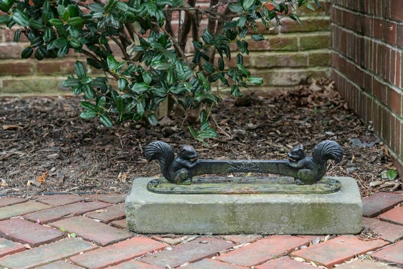 С белочками Фото:dreamstime.com