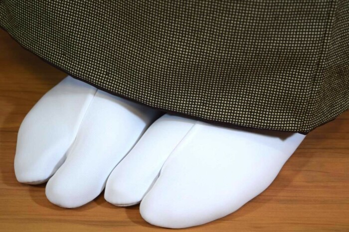 Началось всё с японских носков таби /Фото:emilia-spanish.ru
