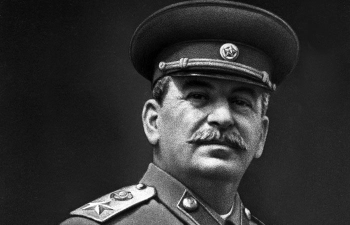 Сам Иосиф Сталин предложил высаживать данные растения/ Фото: amic.ru