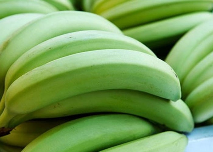 Зелёные бананы / Фото: kholanhnambac.com