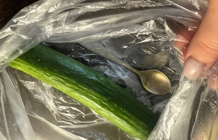 Храните огурцы с серебряными ложками.