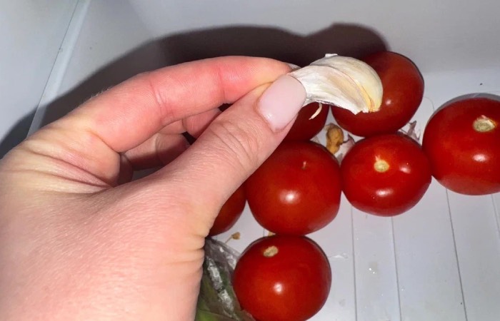 Шелуха чеснока спасет ваши овощи.