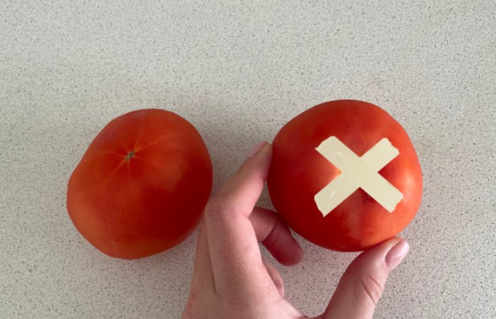 Скотч поможет сохранить свежесть томатов!