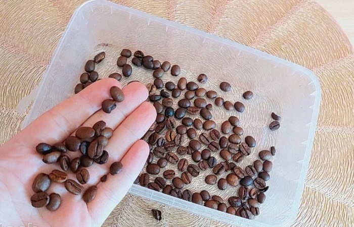 Кофе уберет неприятный запах в контейнерах.