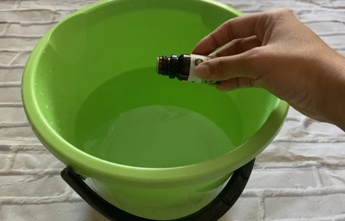 Масло чайного дерева устранит все бактерии. Масло чайного дерева устранит все бактерии.