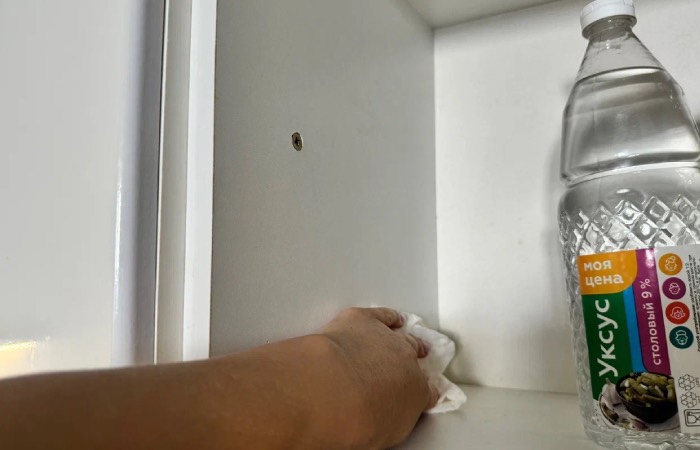 Уксус позволить устранить пищевую моль.