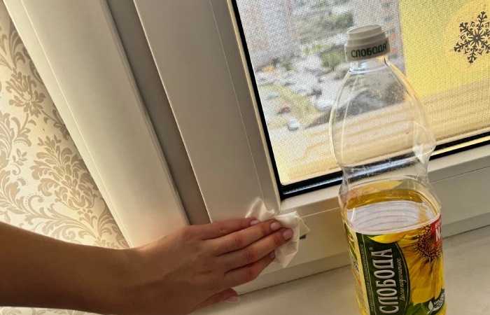 Растительное масло удалит липкий слой от скотча.