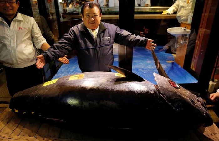 Действительно дорогой тунец. Действительно дорогой тунец.