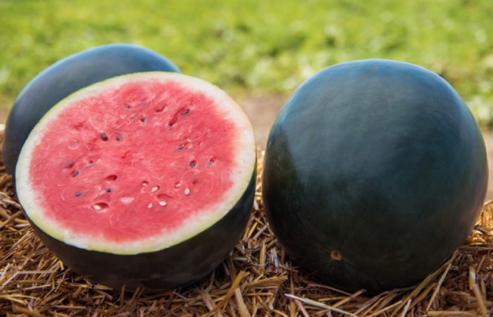 Японские дорогие арбузы. Японские дорогие арбузы.