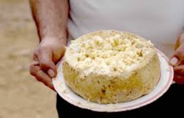 Очень странный сыр с личинками. Очень странный сыр с личинками.