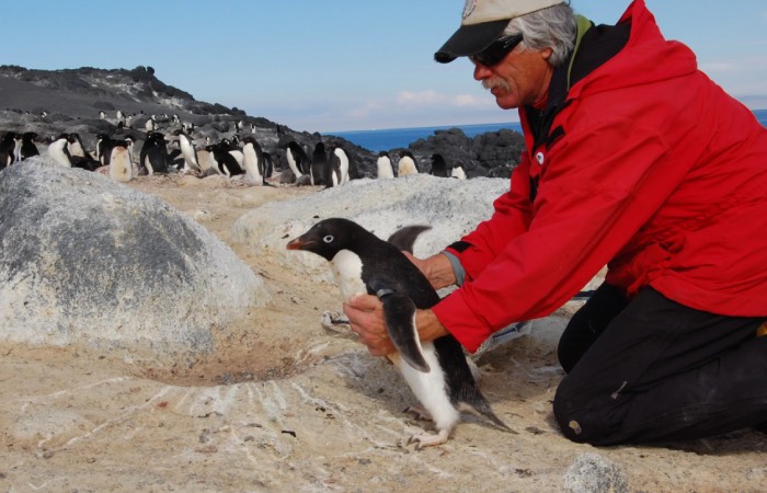 ������� ����� ��������� - ����������� ���������.