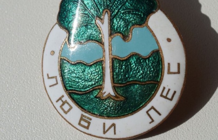 Значок, который связывают со Сталиным.