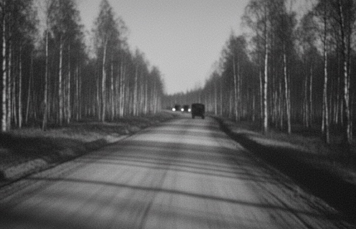 Побелка деревьев спасала жизнь солдатам во время ВОВ. Побелка деревьев спасала жизнь солдатам во время ВОВ.