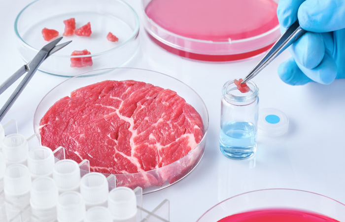 Что такое мясной клей и в каких продуктах его можно найти? Что такое мясной клей и в каких продуктах его можно найти?