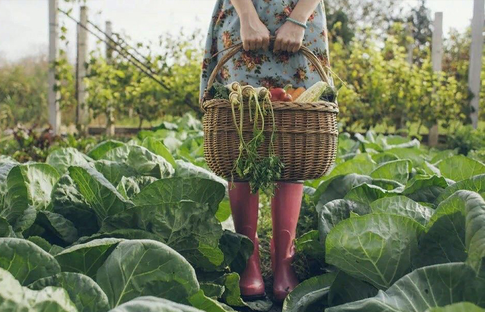 Что подарить дачнику на Новый год?