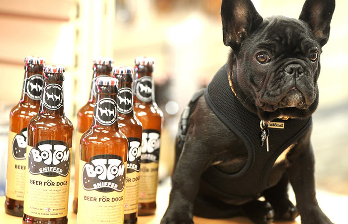 Пиво для собак выпускается в стеклянных бутылках.