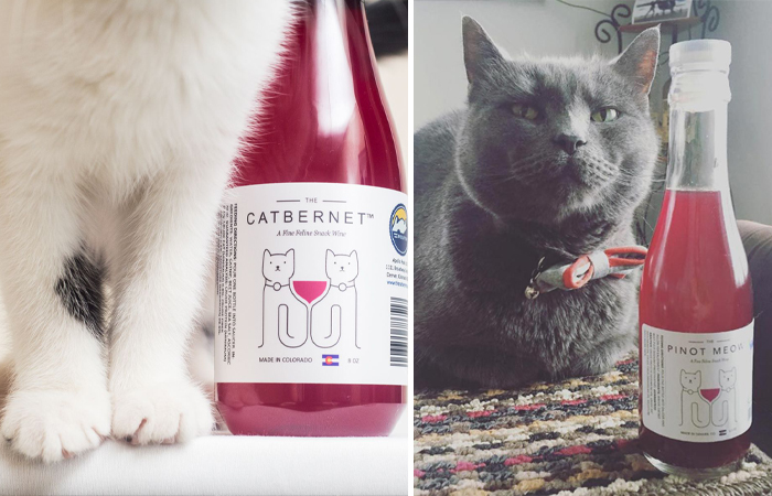 Пять странных лакомств для животных, которые сейчас в тренде.