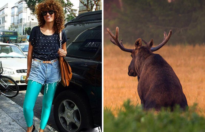 Почему лосины получили такое название?